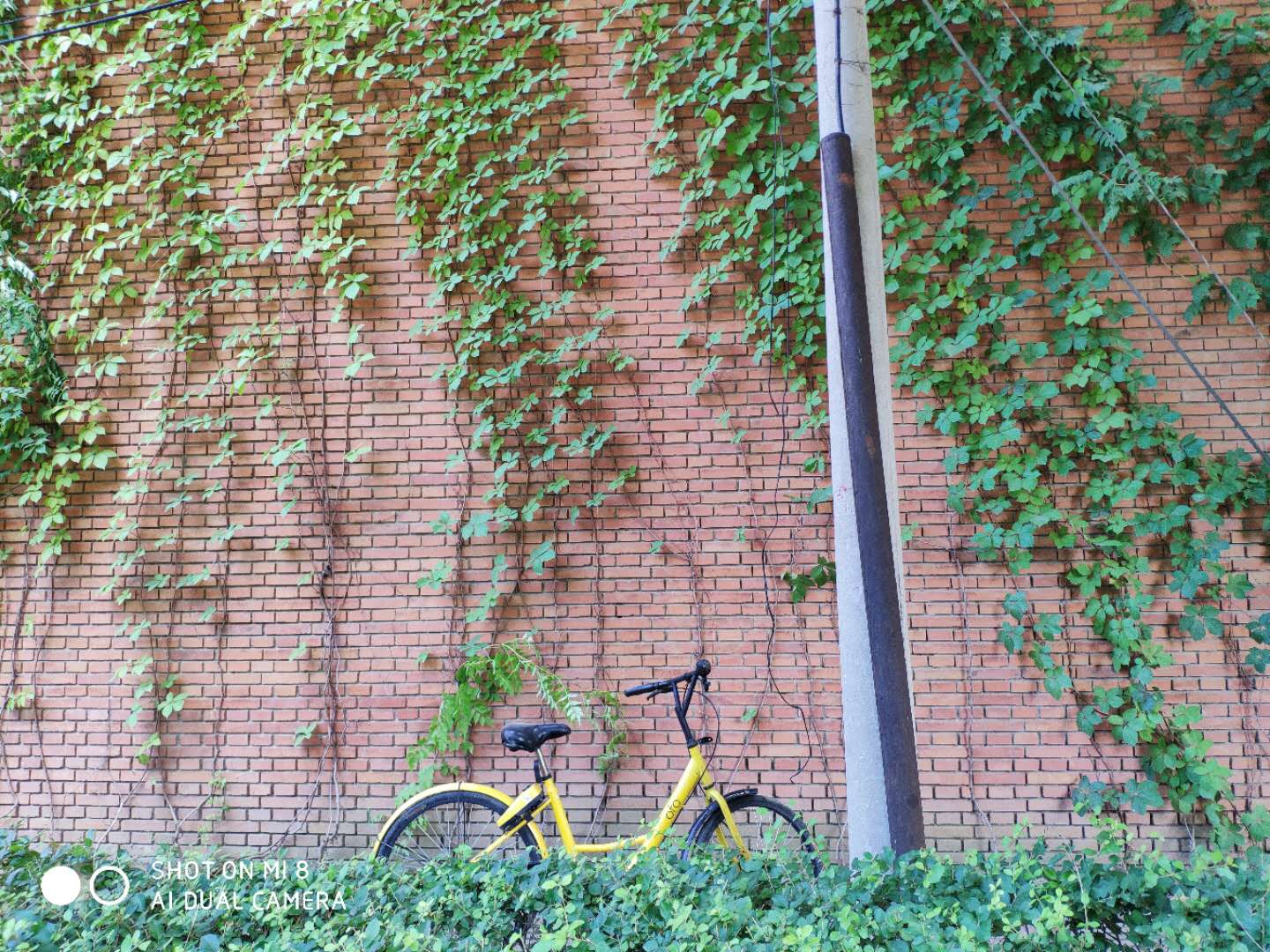 2020年了小米8还能用吗,小米8到现在还能用吗