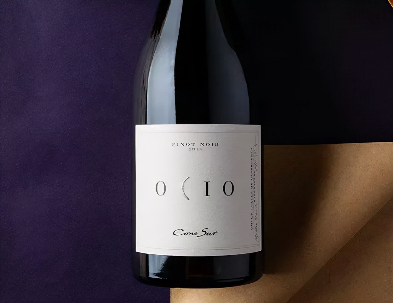 智利18罗汉中性价比最高的,智利十大顶级葡萄酒