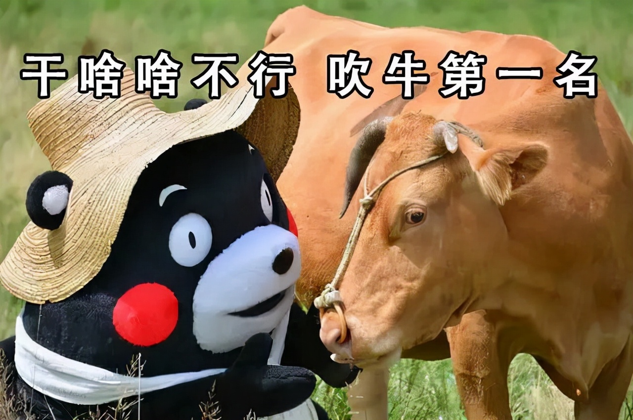 加盟创业最好的方法,品牌创业加盟