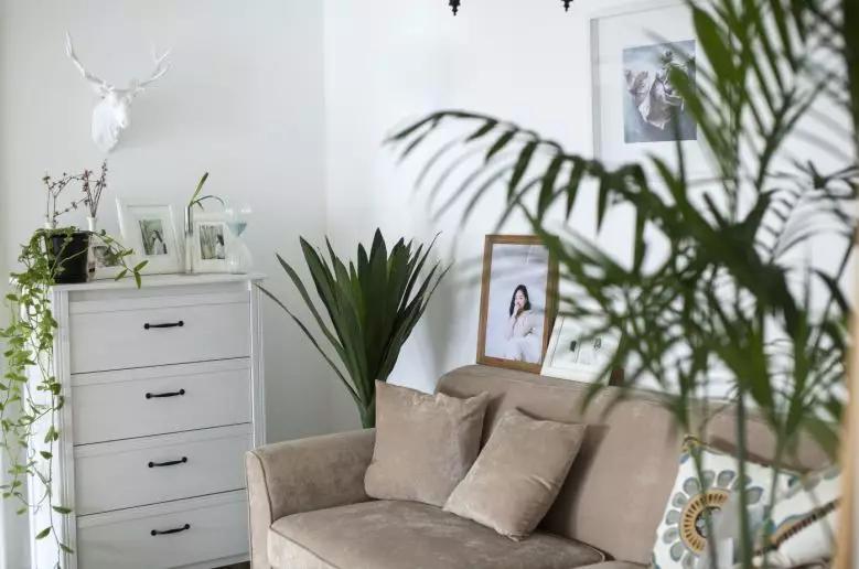 56岁阿姨独居2层别墅，不结婚不生娃，靠另类日式风圈粉无数人