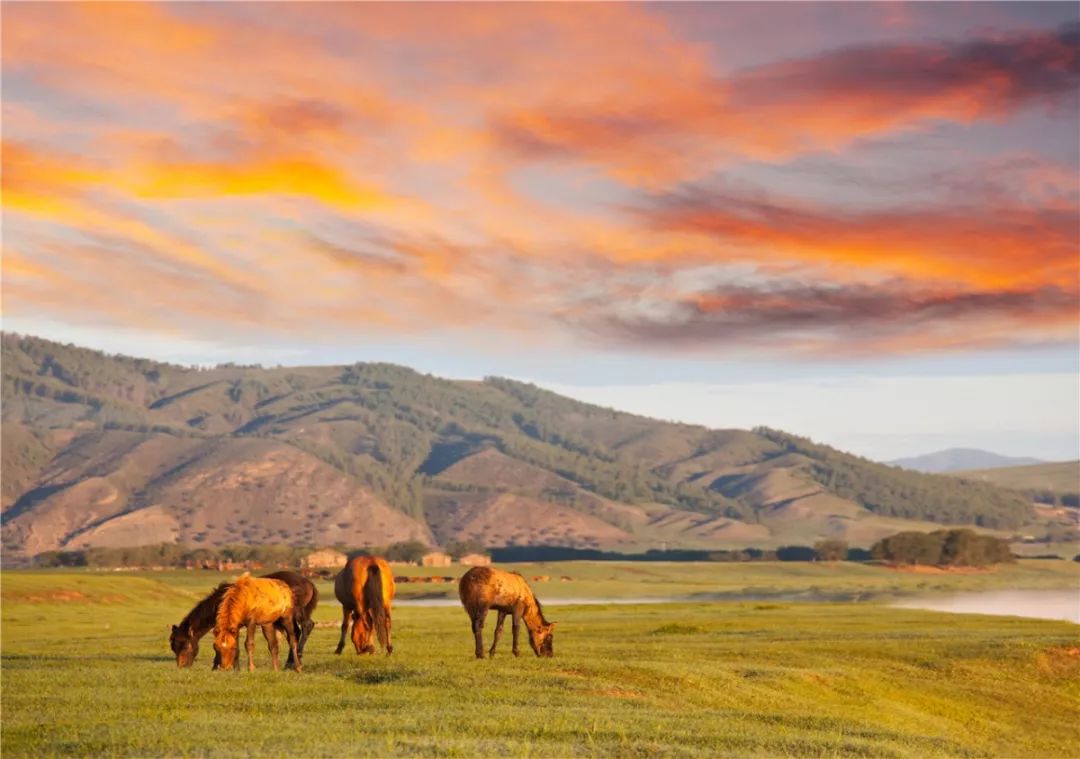 坐哪些火车可以出国看风景又好玩,太原人可以去北京旅游吗