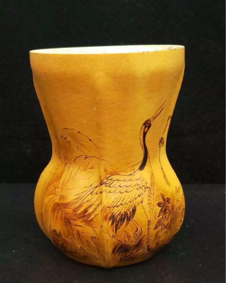 吸猫养狗和养猫的不同之处,养宠物猫比较流行的城市