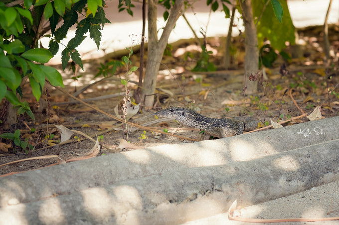 在海洋上与世隔绝的小岛,到大海里面就找一个小岛去生活