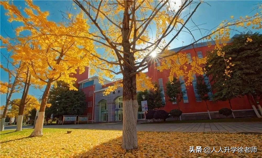 昆明昆三中高中录取分数线,昆明初中昆三中排名一览表