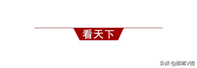 古稀老年人画,叶脉造型画