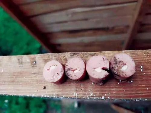 狗狗铲屎官必备小妙招,铲屎官必学的宠物急救法