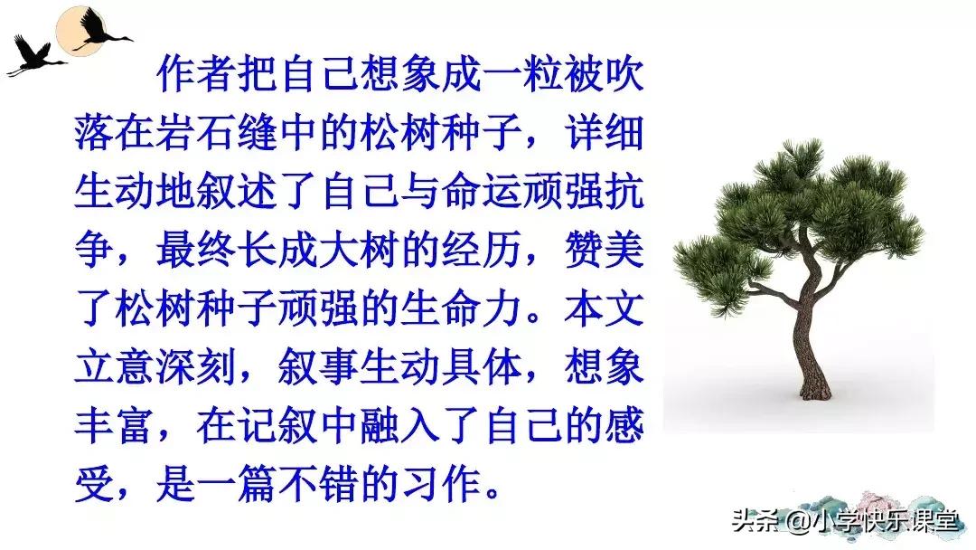 部编版六年级作文变形记范文,部编版六年级上册作文变形记教案