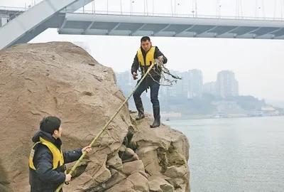 人民日报各种新闻报道,人民日报评论中央4台