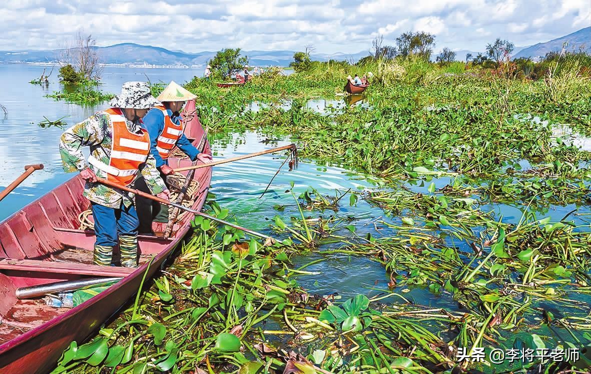 海关如何知道你带了活物入境？细数中国入侵生物中的英雄和耻辱们