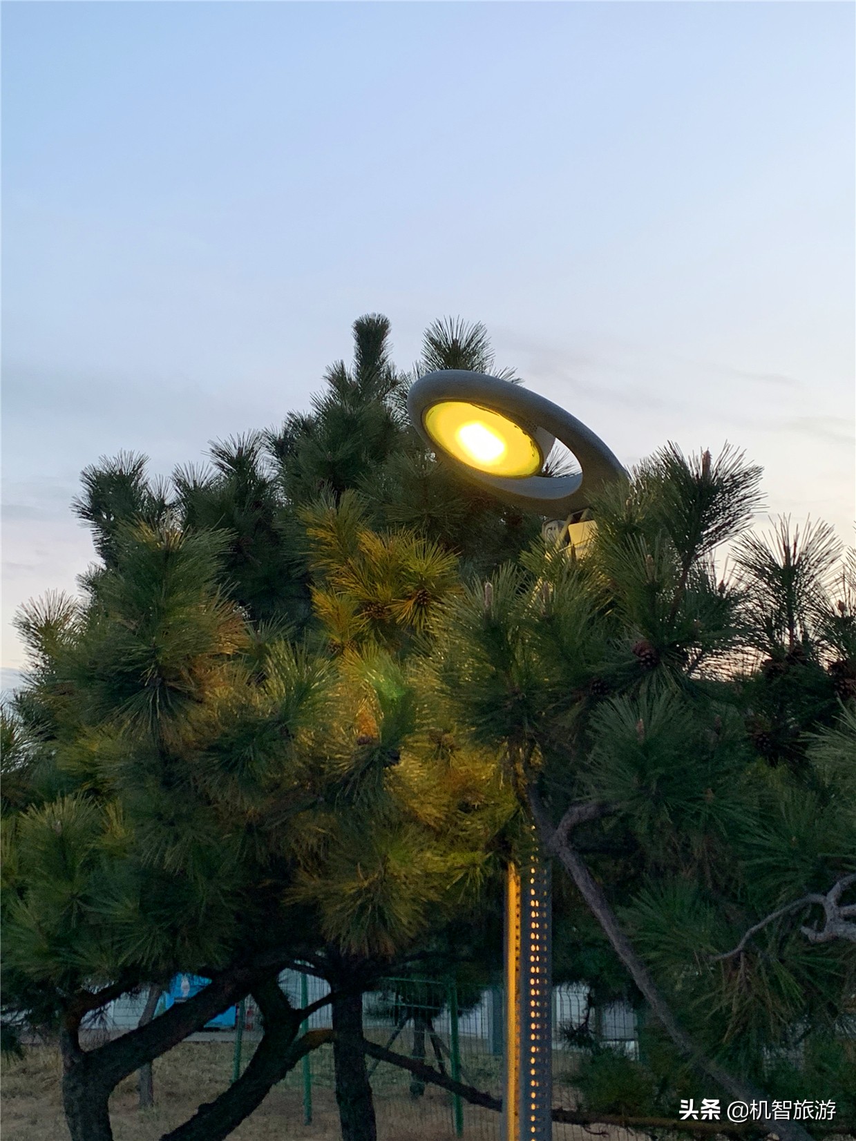 日照渔家乐民宿吃饭贵吗,日照渔家乐住哪里最合适