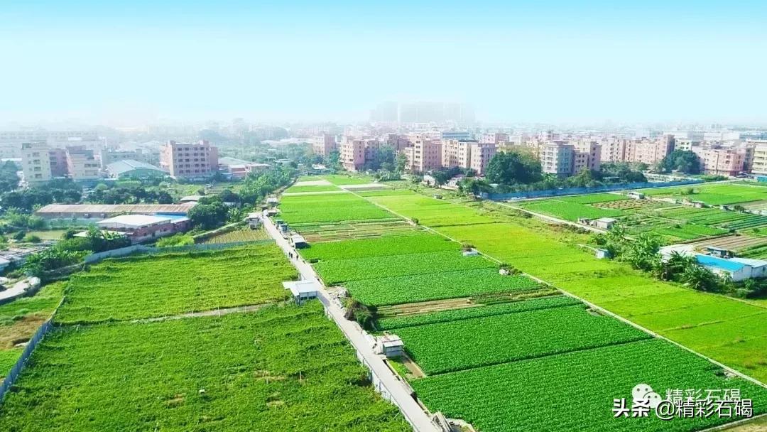 重磅!石碣镇入围2019年度全国百强镇,东莞还有这些镇上榜!