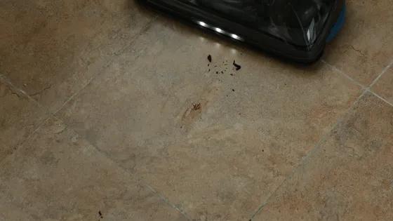 小狗吸尘器t12essential真实测评,小狗吸尘器t12essential