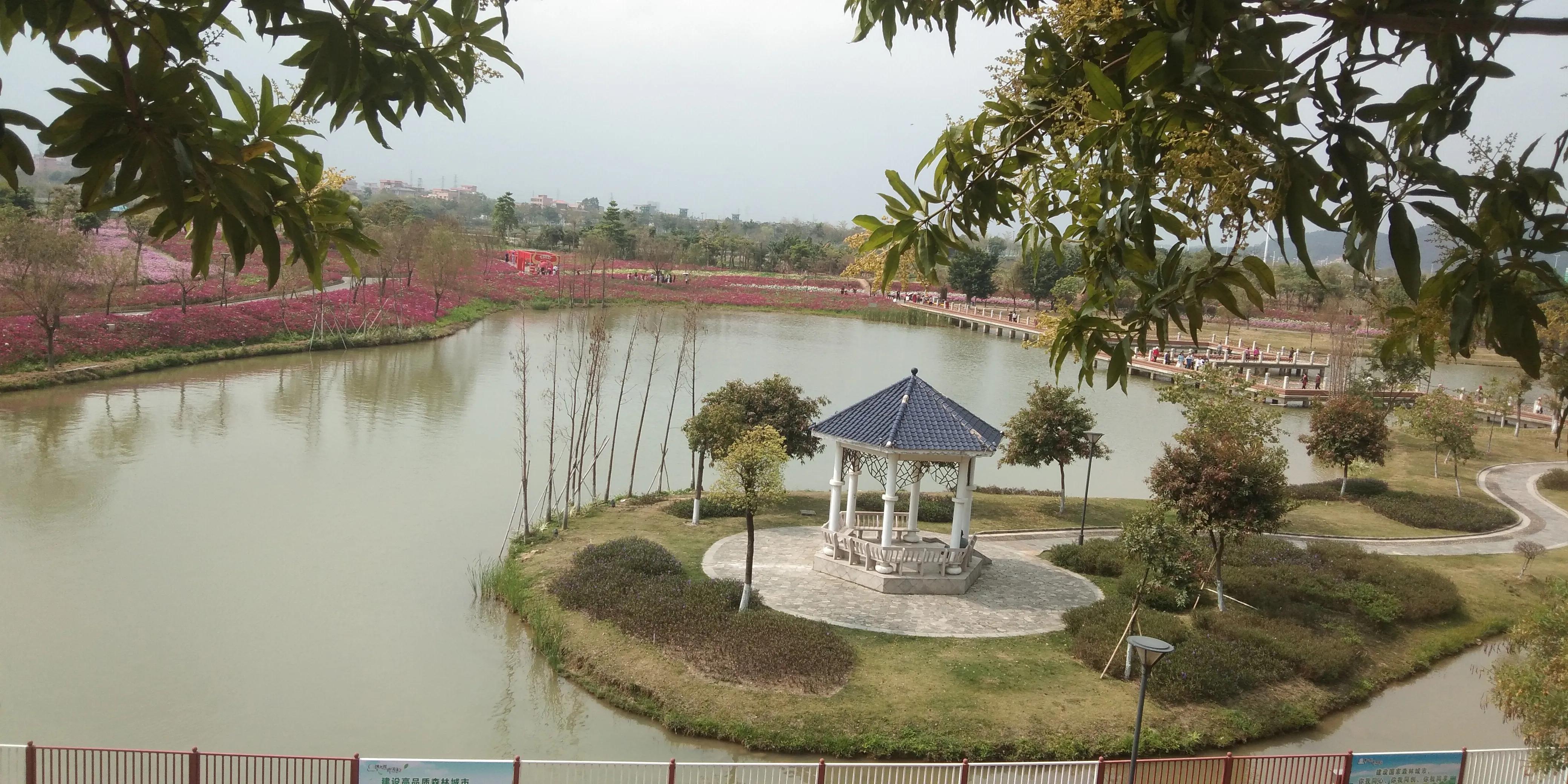 佛山高明怎样,佛山高明区很差吗