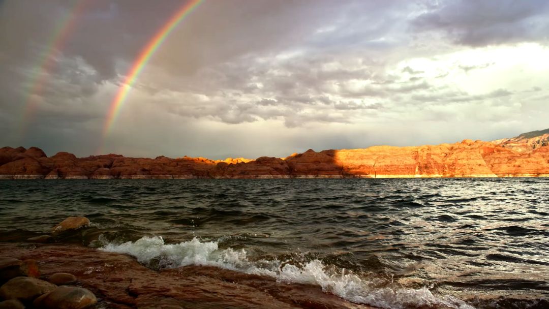 暑期必看的炸裂口碑纪录片,暑期不虚度七部神级纪录片陪你