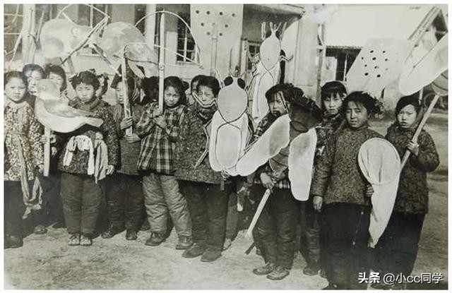 灭四害年代,哪年全国掀起剿四害运动