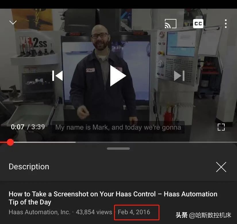 最受欢迎的哈斯,哈斯小贴士