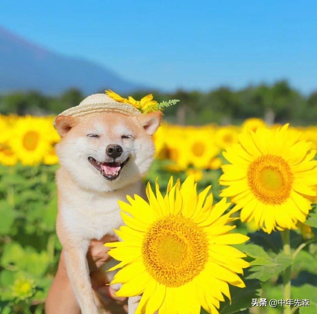 衡量一个人价值最高的指标,聪明人的重要参考指标