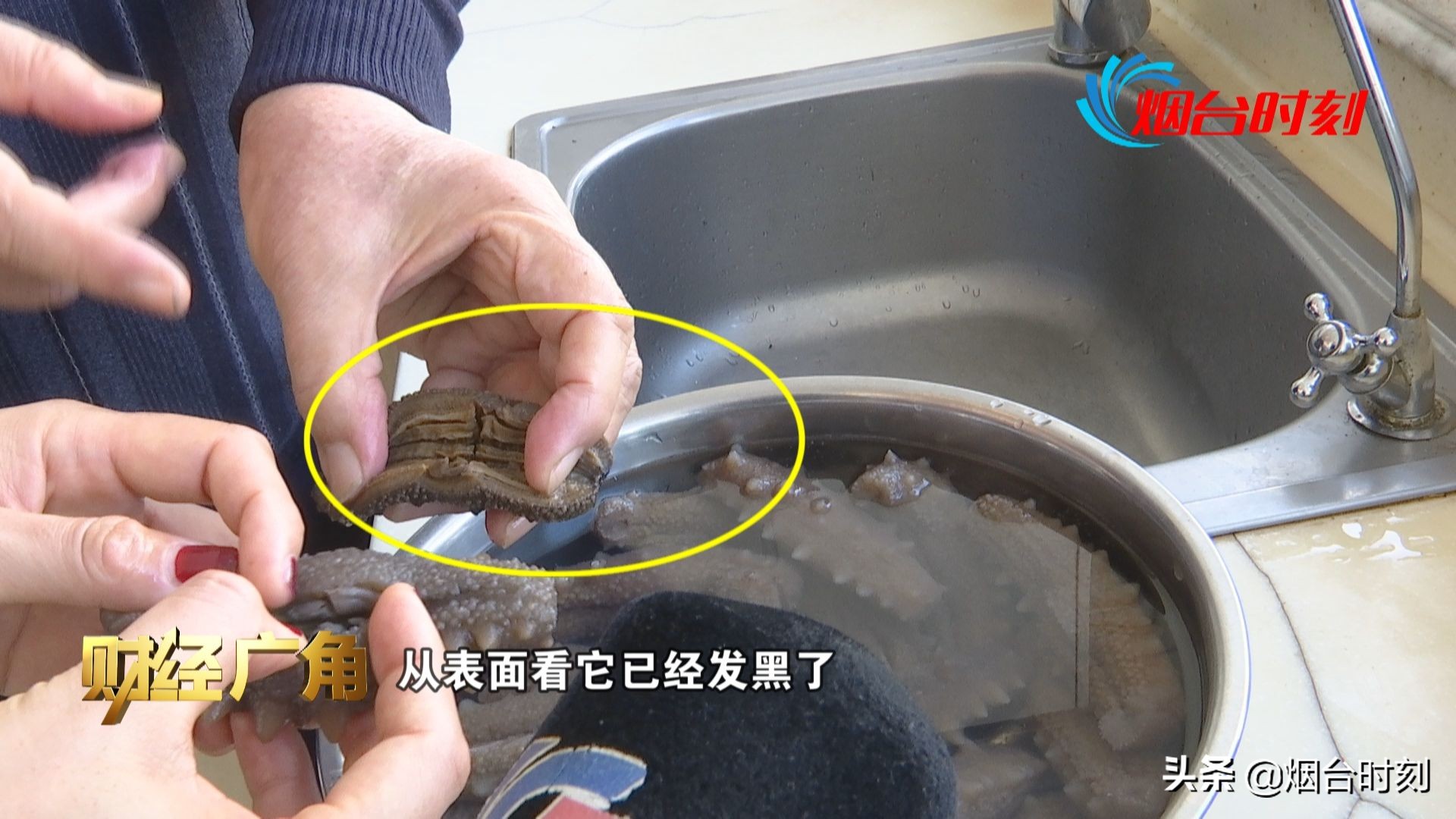 电视台卖假海参,电视台卖劣质海参