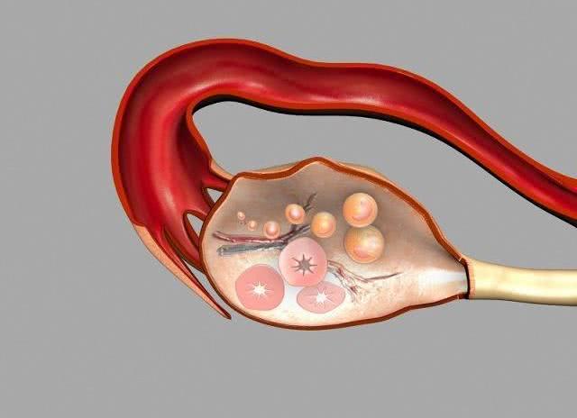 备孕一个月有多少个卵子,备孕女性多重可以怀孕