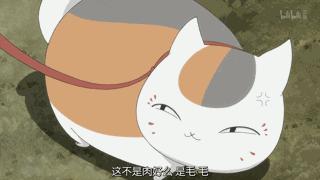 excel数据更新后如何同步到ppt中,excel数据同步到ppt中