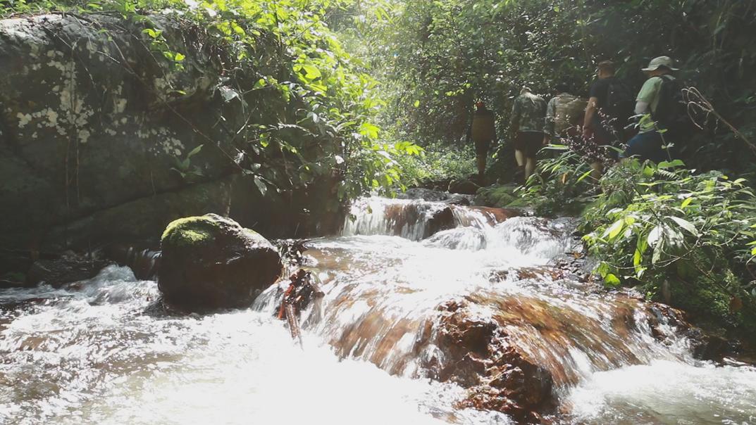 新茶上市快来选购吧,教你如何正确选购新茶