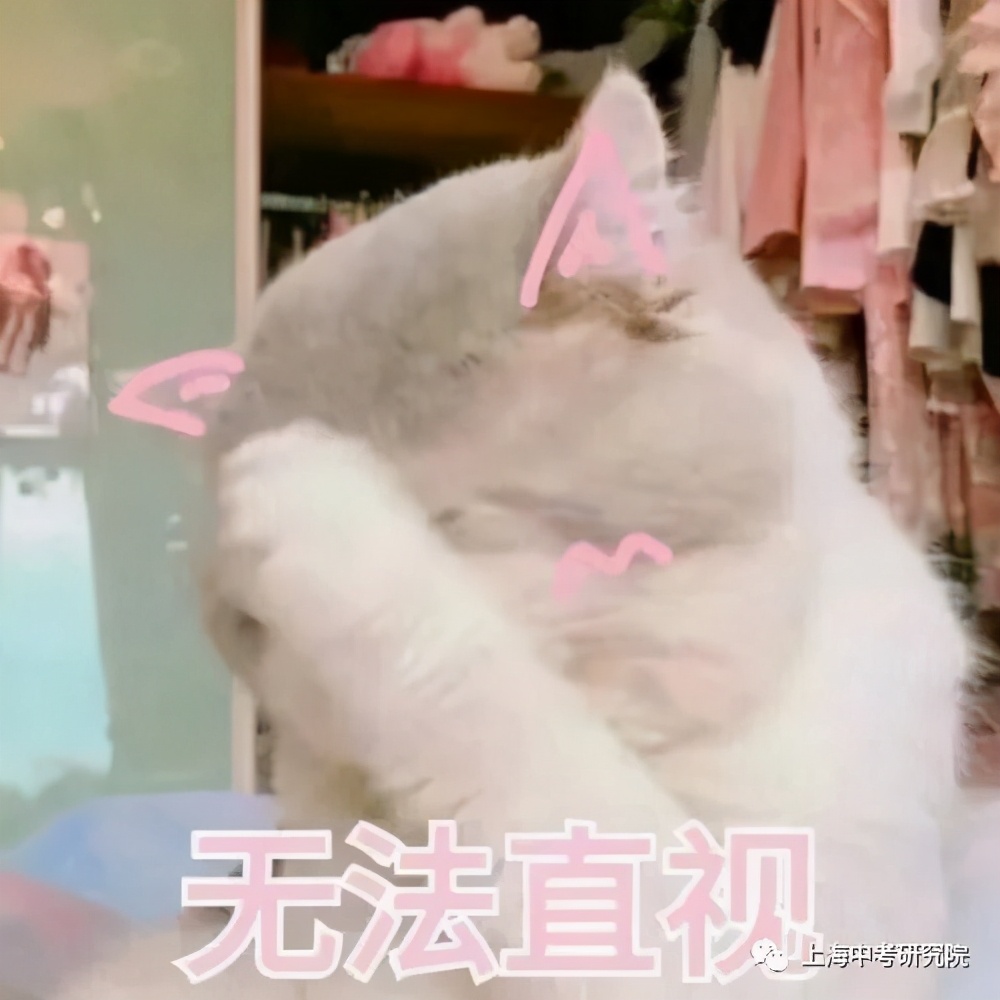 上海宝山华二学校有多厉害,华二上海有几所学校