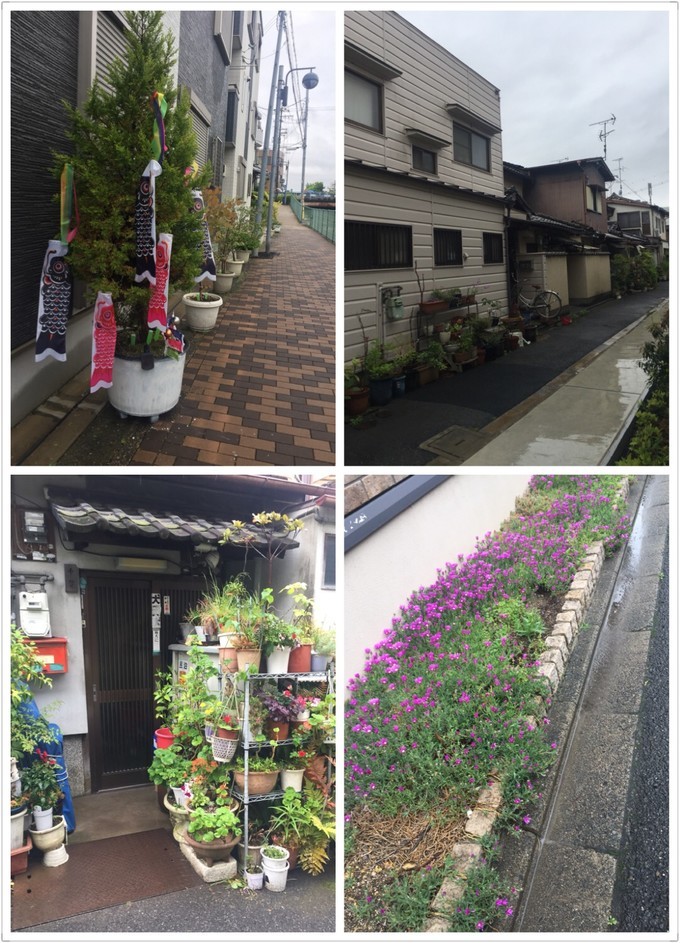 大阪蹦迪酒吧,京都大阪烧