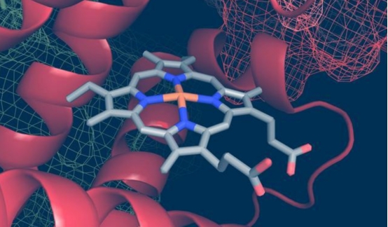 我国禁用含铅汽油,联合国通过终止塑料污染决议