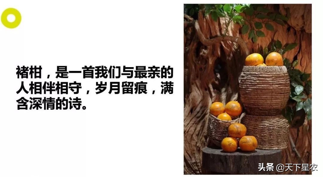 云品出滇飘香京城,云品厨出滇