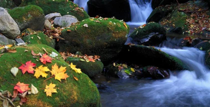 时光如白驹过隙忽然而已什么意思,人生天地之间如白驹过隙