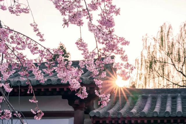 复工！开学！防疫！西安网友最关心的25个问题，答案都在这里