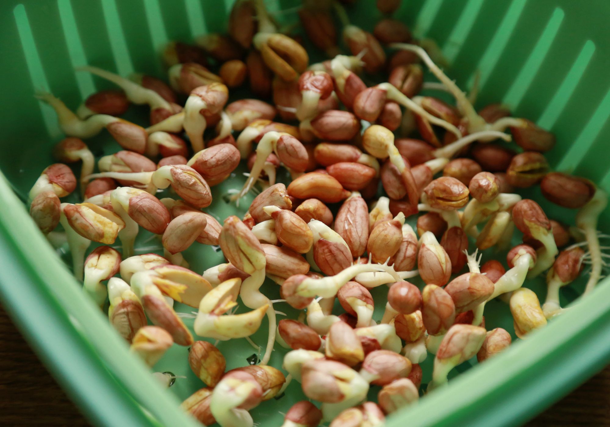 养生堂生发妙招,增长生发精华