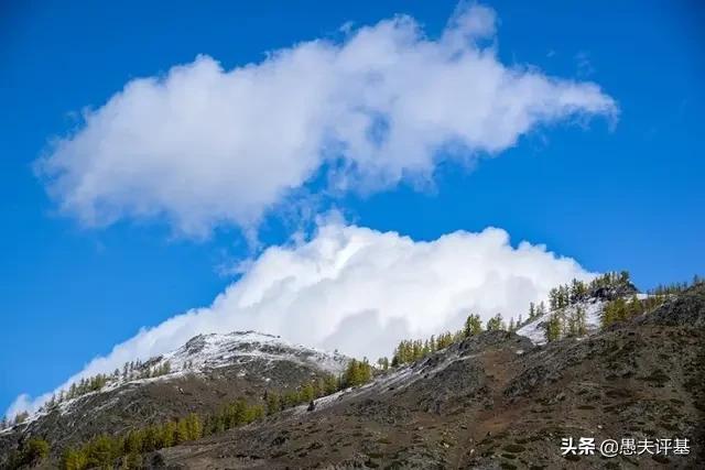 懒蚂蚁效应,懒蚂蚁效应引发的思考