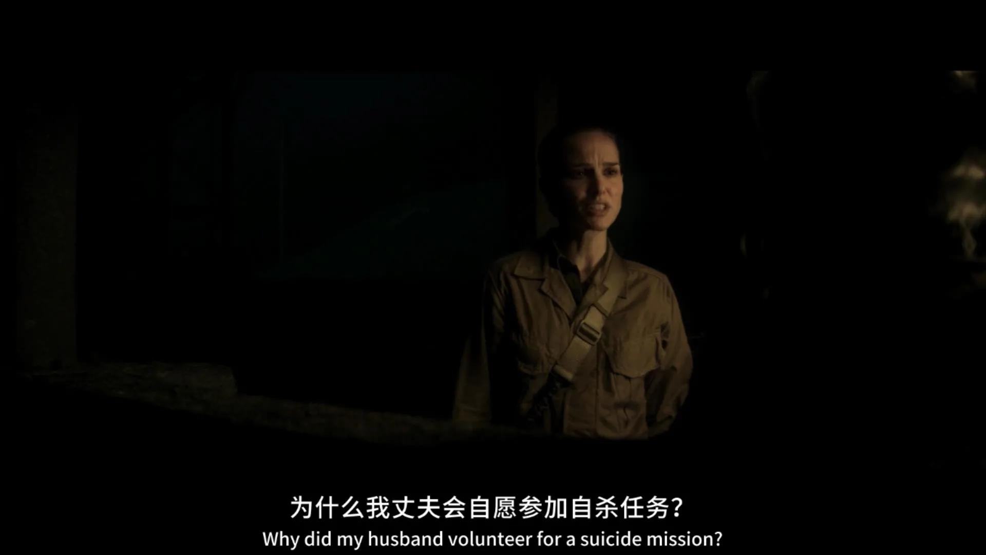 湮灭电影深度解析,湮灭电影到底湮灭了什么