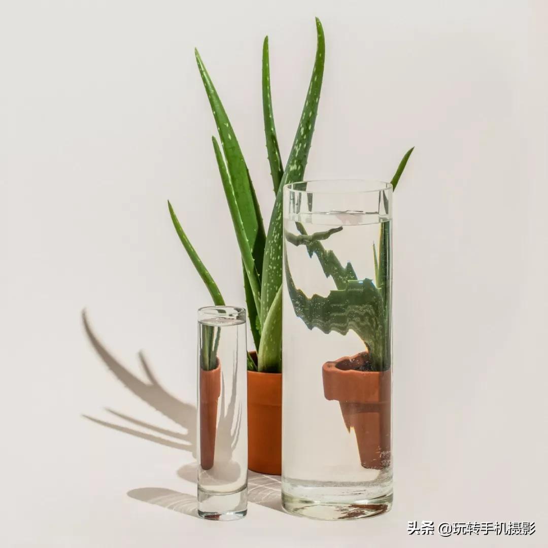 宅宅的风格拍照,绝美宅家拍照教程秒get氛围感照片