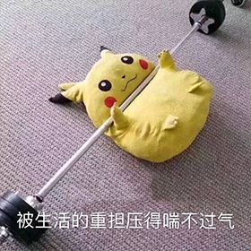 早上好真实会动的动态表情包,当代年轻人的真实现状表情包