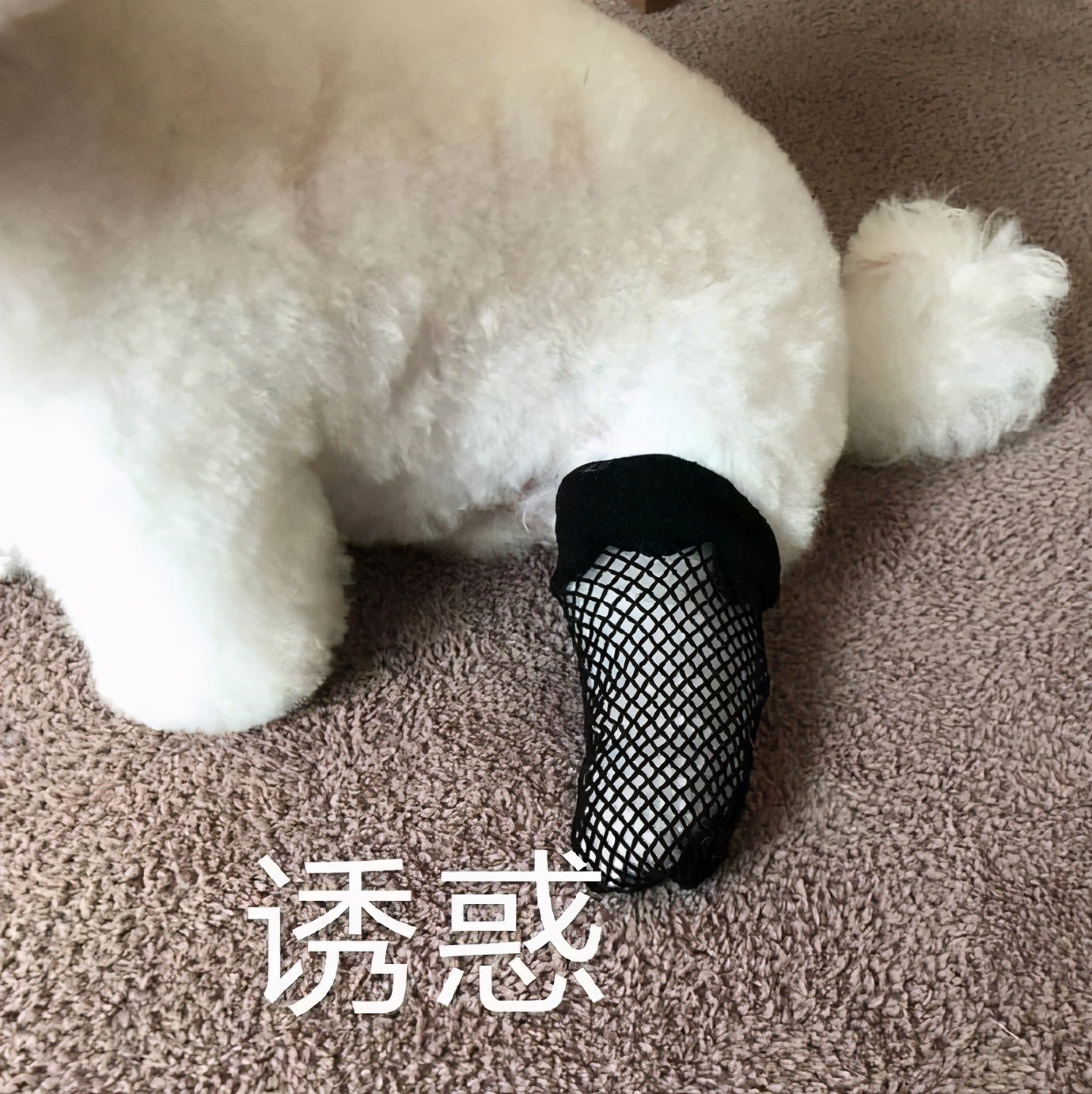 穿了显廉价的坑，好多人都踩过