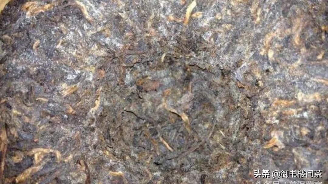 普洱是越陈越好还是越新越好,十年普洱和五年普洱哪个更好喝