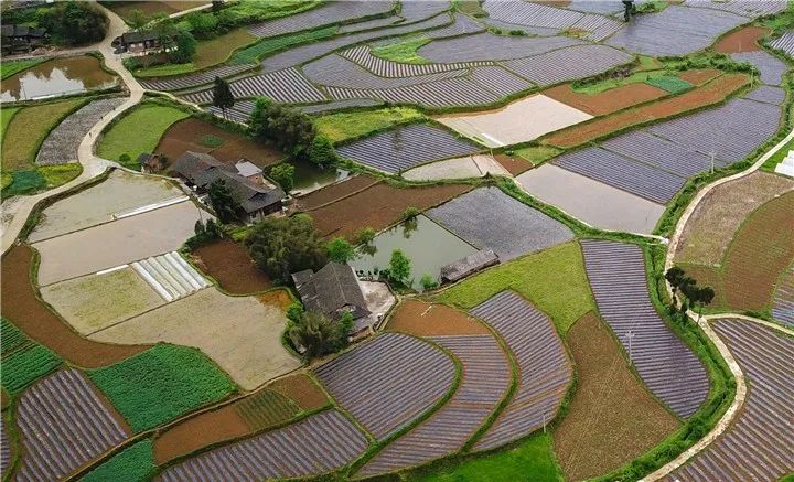 遵义市县区脱贫顺序,遵义的贫困县有哪些