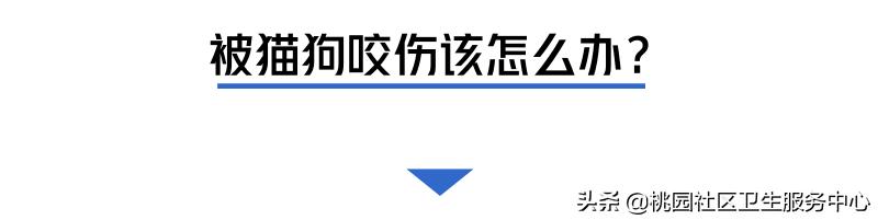 如被猫狗咬伤或抓伤应如何处理,被猫狗咬伤在多少小时之内打疫苗