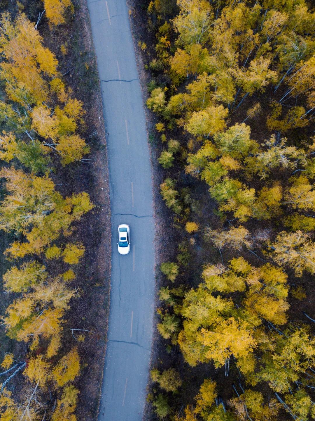 秋色正艳|掌握这6个小技巧，教你拍出绝美秋景
