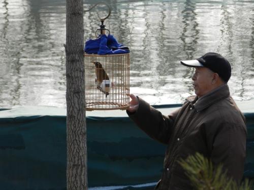 养鸟人10年后的感受,浅谈养鸟的生理与心理的护理