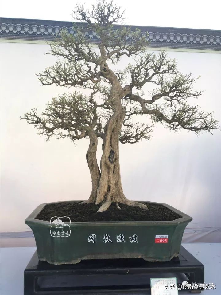 骞哥涔呬箙鐢滅敎铚滆湝,骞哥涔呬箙