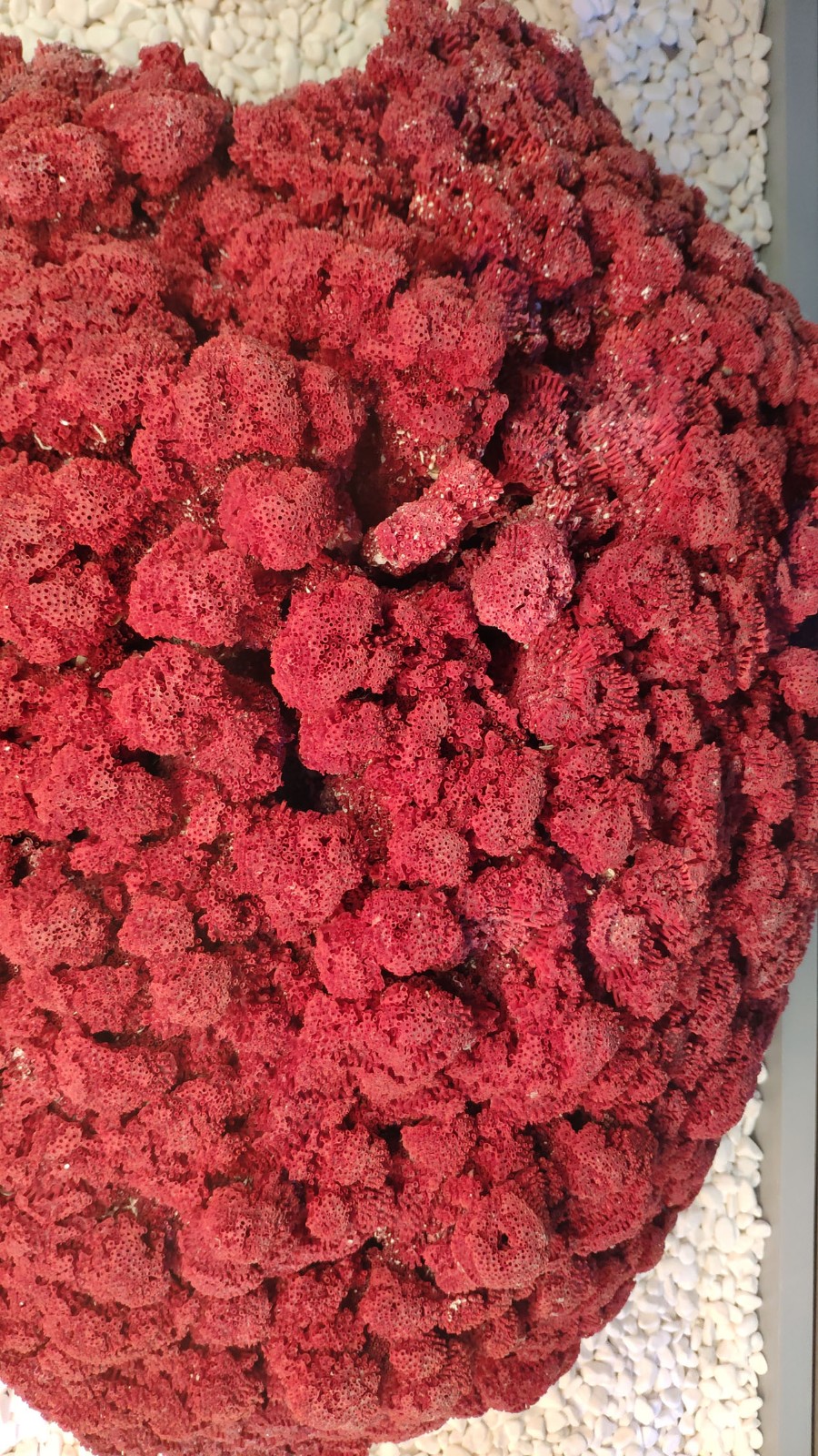 海洋博物馆带孩子游玩攻略,国家海洋博物馆最全攻略来了