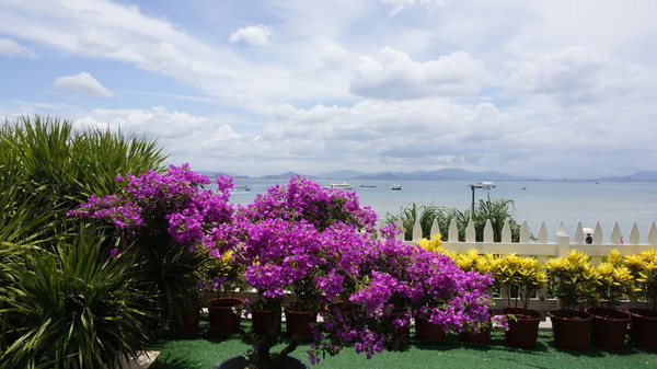 一场一个人说走就走的旅行,来一场旅行开启所有的美好