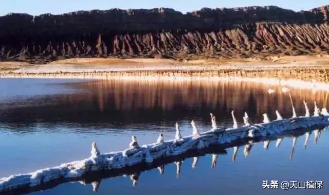 *疆新**克州,向全世界发出邀请!即将涌来大批人马