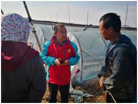 姜苗防病药,姜苗用啥药防治害虫