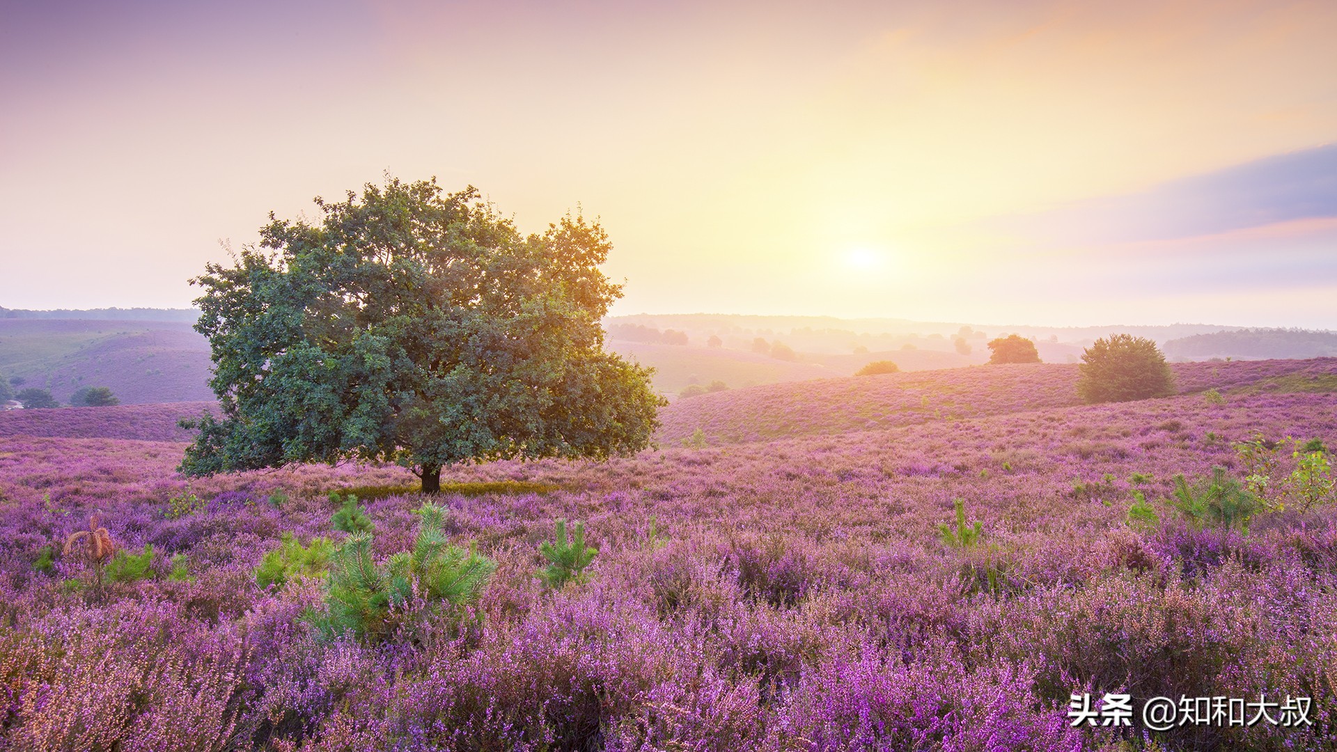 一个被别人瞧不起的人该怎么办,被人瞧不起时如何做好三件事