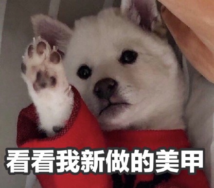 圣诞节表情包微信动态,圣诞节表情包图集可保存