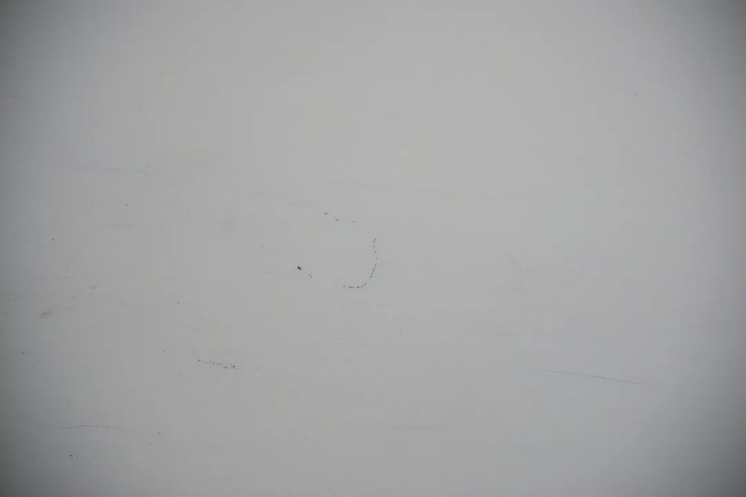 尼康z50配dx镜头,尼康zdx镜头